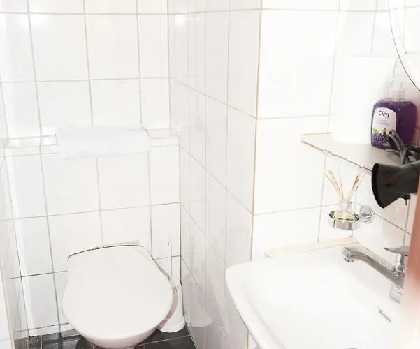 新西站7公寓 因特拉肯